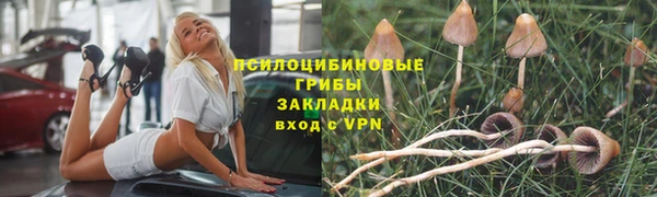 spice Арсеньев