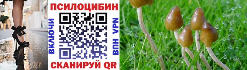 Псилоцибиновые грибы Psilocybe  Старая Купавна 